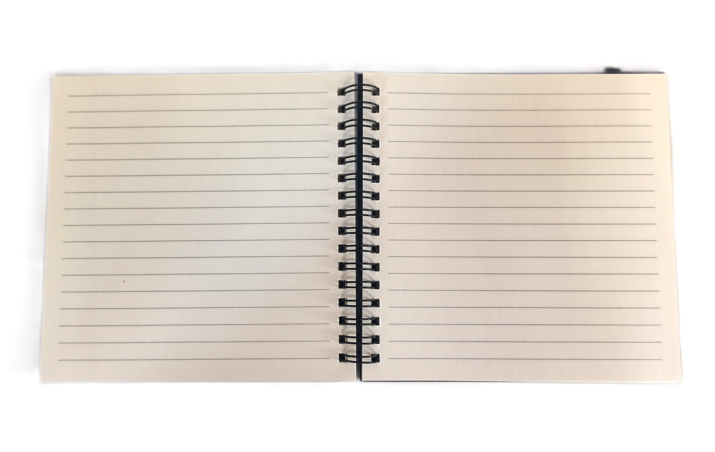 Cuaderno "La Creación de Adán"